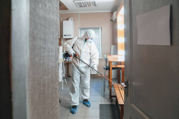 Best Post-Construction Mold Inspection  in Mentone, CA