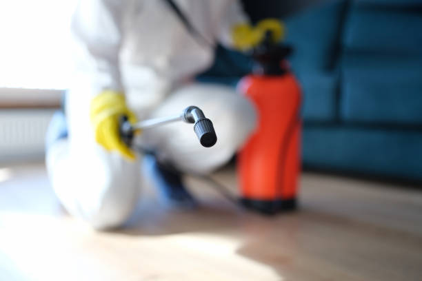 Best Dehumidification Services  in Mentone, CA